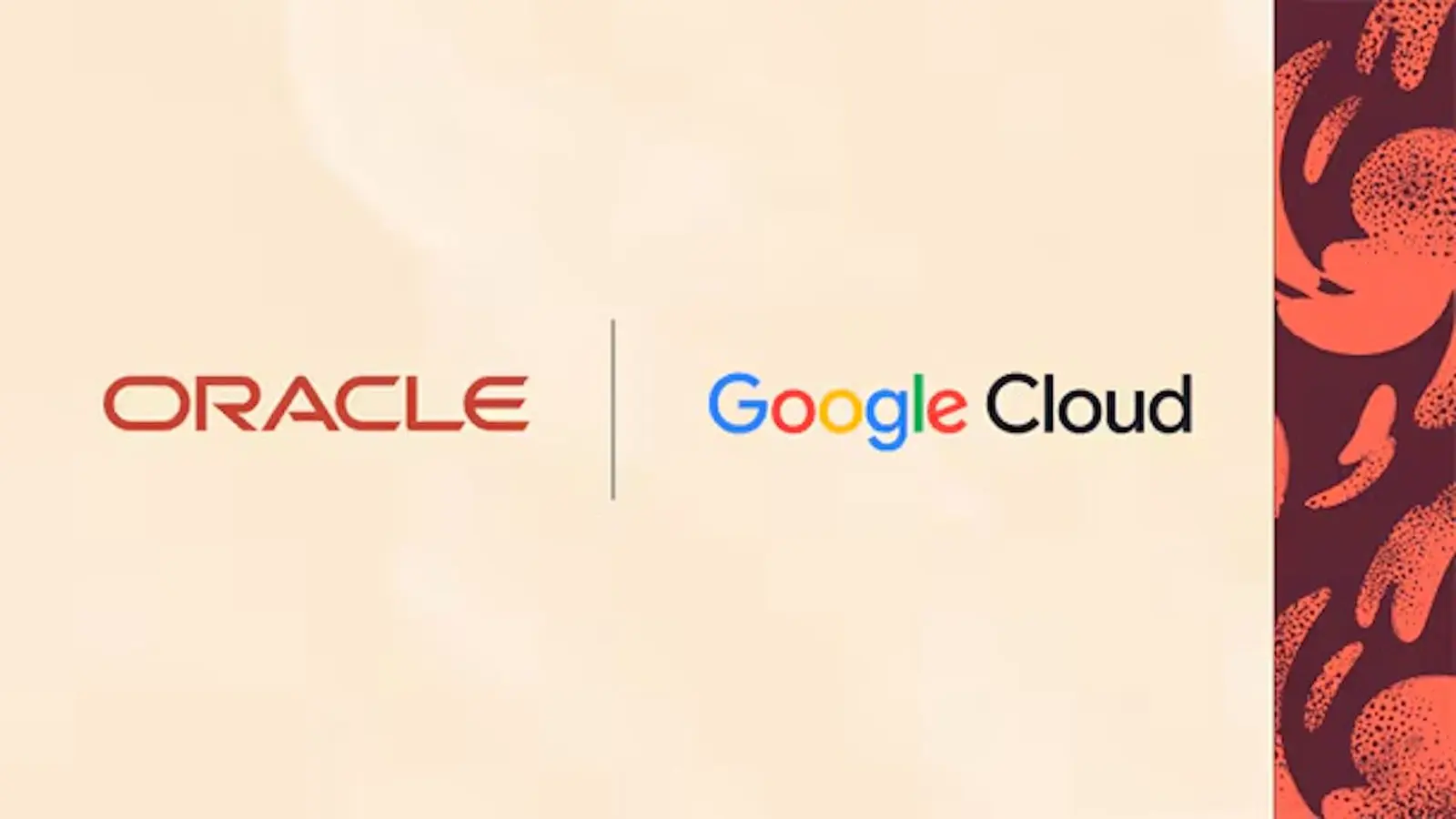 Oracle vinde acum TP-urile Google pe OCI: prima rivalitate în piața AI